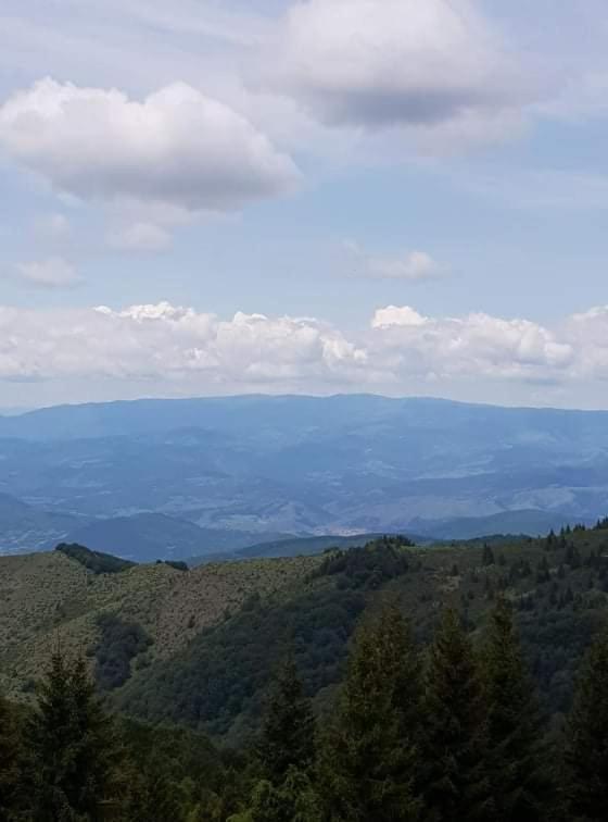 Vila Irina - Apartman Milos Kopaonik Kültér fotó