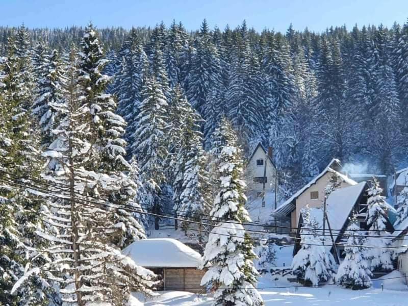 Vila Irina - Apartman Milos Kopaonik Kültér fotó