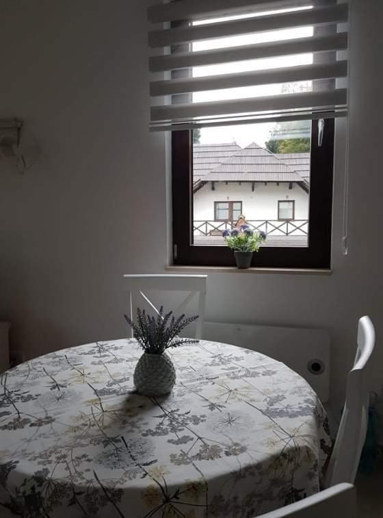 Vila Irina - Apartman Milos Kopaonik Kültér fotó