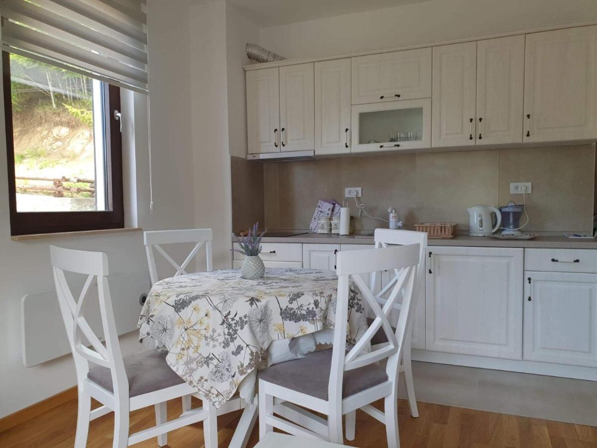 Vila Irina - Apartman Milos Kopaonik Kültér fotó