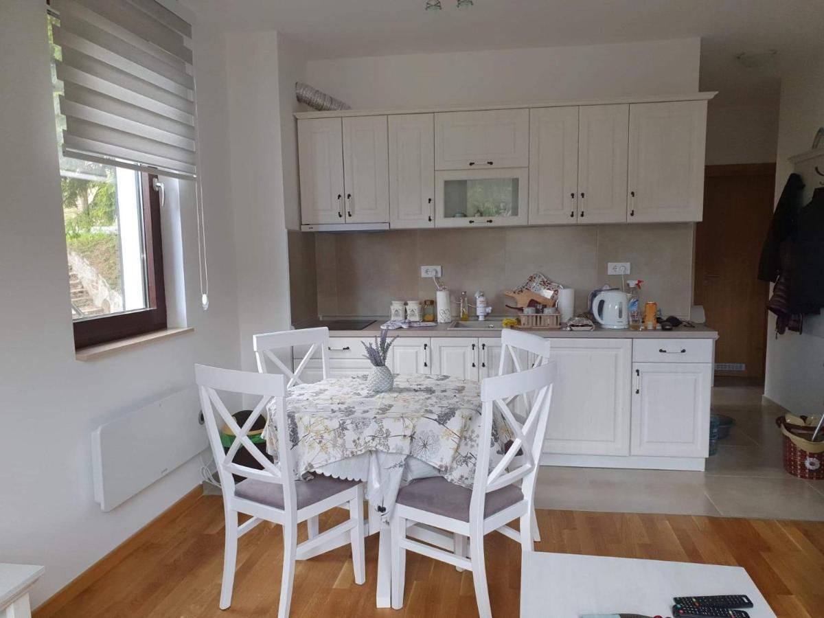 Vila Irina - Apartman Milos Kopaonik Kültér fotó